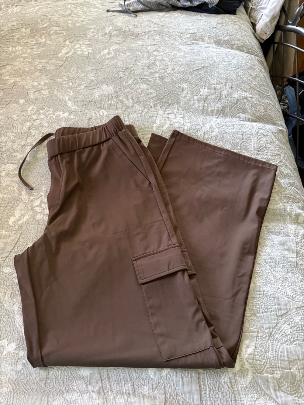 Zyia Presidio Peak Brown Cargo pants